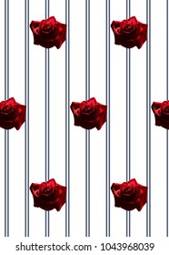 a pattern with realistic red buds rose on a background of a pattern of vertical thin strips on a white background
