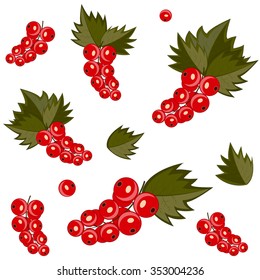 Pattern of red currants on a white background