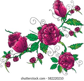 A pattern of red flowers roses and leaves isolated on white background