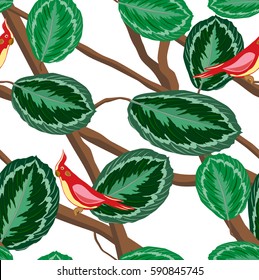 Pattern with a red parrot, green leaves and abstract background brown