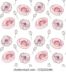 pattern of red poppies and green buds on a white background, vector illustration, line, for design of paper, wallpaper, textile