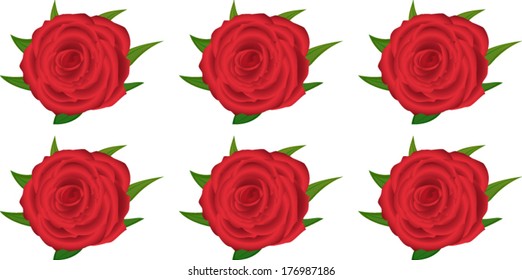 pattern with of red roses on white background 