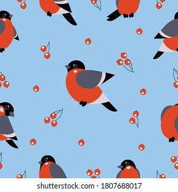 Pattern Red Xmas bird. Bullfinch vector illustration. Vector illustration