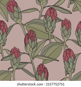 Pattern with Rhododendron Buds. Pink flower nova zembla.