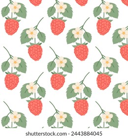 Pattern with ripe raspberries on a transparent background. Raspberry branch in flat style. Background with berries. Seamless pattern for textile, wrapping paper, background.	