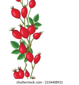 Patrón de rama de cadera con hojas y berry, franja de borde vertical perfecta. Plantilla de dibujos animados de ilustraciones vectoriales para el diseño de embalajes aislados en fondo blanco.