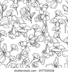 Pattern with sakura buds, apple cherry blossom. Medicinal herbs, rapeseed. Beautiful hand-drawn graphics. For textile, wallpaper, design, paper, banner. Stock graphics, isolate. 