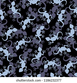 Pattern of the salamander,
