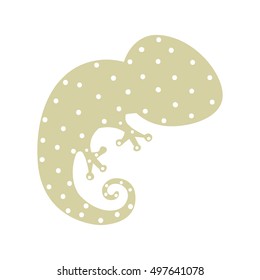 pattern with salamander wild animal