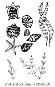 pattern sea