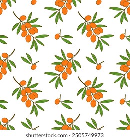 Pattern sea buckthorn branches with ripe orange berries on white background. Vector illustration