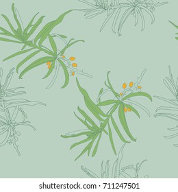 Pattern of sea buckthorn . Hand drawn.