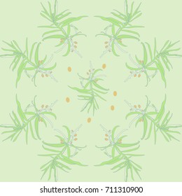 Pattern of sea buckthorn . Hand drawn.