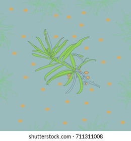 Pattern of sea buckthorn, seamless . Hand drawn.