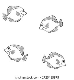 Pattern of sea fish in cartoon style on a white background. Black and white vector hand drawn background of cute fish. Background for print, textile, coloring.