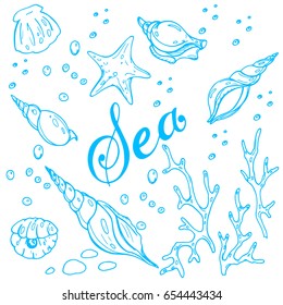 A pattern of sea shells and corals in blue tones with a sea litter in sketching styles
