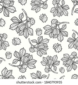 pattern seamless chestnut twig contour vector stroke coloring autumn nature postcard print doodle sketch texture wallpaper background svg