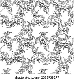 pattern seamless of coffee tree ink drawing sketch for poster flora art print, cover book, brochure, name card, post card, fabric, wall paper, label packaging 