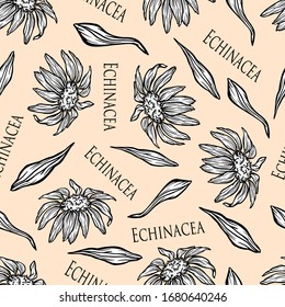 pattern seamless echinacea medicinal herb flowers wallpaper poster nature print cover vector illustration