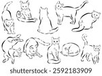 Pattern seamless and Element vector draw line of 10 action Cat . for print, artwork and use for element your design.
