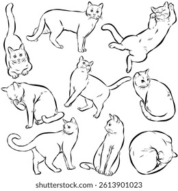 Pattern seamless and Element vector draw line of 9 action Cat. for print, artwork and use for element your design.