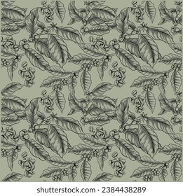Muster nahtlos floraler Kaffeepflanze für Textilien, Hintergrund, Kunstskizze, Hintergrund-Tapete, Café-Dekoration, Illustration, Vintage-Menü, Arabinica-Antike