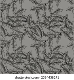 Muster nahtlos floraler Kaffeepflanze für Textilien, Hintergrund, Kunstskizze, Hintergrund-Tapete, Café-Dekoration, Illustration, Vintage-Menü, Arabinica-Antike