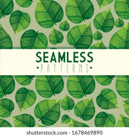 pattern seamless of leafs natural ecologics vector illustration design