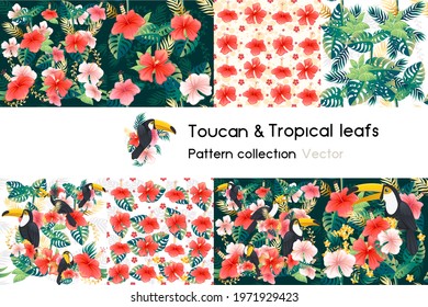 Pattern with seamless patterns collection of exotic green leaves with flower and toucan bird vector illustration on white background