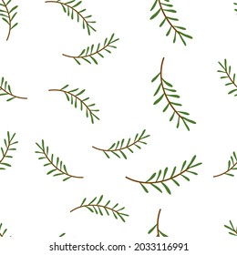 The pattern is seamless with spruce branches, natural botanical on a white background. Vector illustration for printing on paper, fabric, packaging, design, decor, scrapbooking.