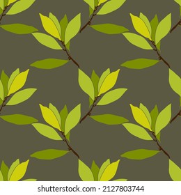 Pattern seamless Tree laurel.Image on white and colored background.
