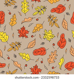 Pattern Set of Autumn Leaves,  natural seamless background.   Harvest Celebration. Leaffall. Doodle style drawings. Color vector illustration, isolated background.
