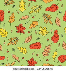 Pattern Set of Autumn Leaves. Autumn, natural seamless background with leaves.   Harvest Celebration. Leaffall. Doodle style drawings. Color vector illustration. White isolated background.