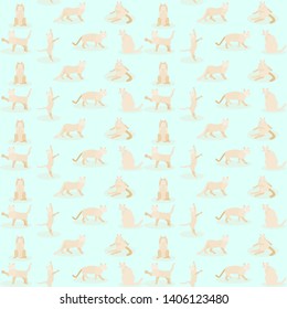 pattern set of cute cat element. vector illustration eps10