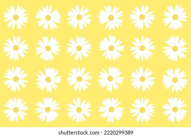 Pattern and set of daisies on yellow background