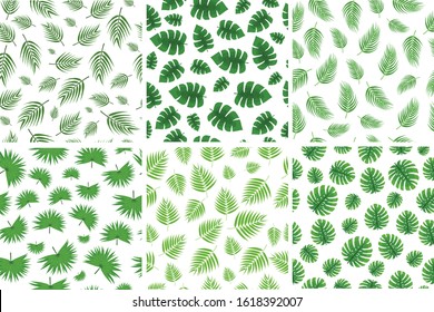 Pattern. Set. Fern. Palm leaves. Set of seamless patterns of palm green leaves. Big set.