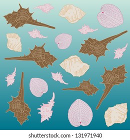 Pattern of shells