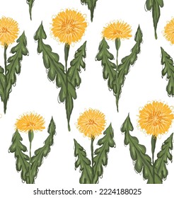Pattern with sketched yellow dandelions with leaves in row on white background. Vector botanical scrawl floral texture for fabrics. Wallpaper with tile of scribble taraxacums