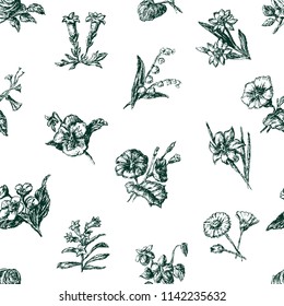 pattern of the sketches of different flowers