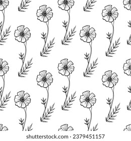 pattern sketches of marigolds, vector sketch of the Tagetes flower, plant of the Asteraceae family, flower symbol of the day of the dead