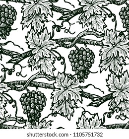 Pattern of sketches of ripe vine
