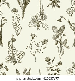 Muster der Skizzen Wildblumen