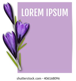 Pattern with snowdrop flowers. Pattern with crocus flowers. Vertical banner. Secretary Day Vector Art, Stock Vector