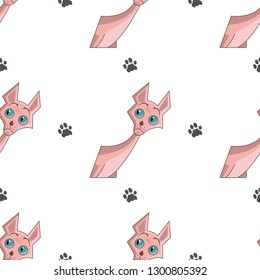 Pattern sphynx cat emoji.Vector illustration.