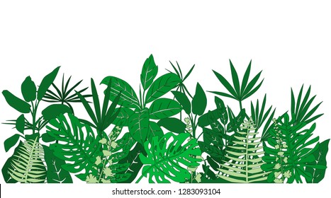 Pattern of spring-summer tropical plants and flowers. Horizontal pattern.Silhouettes of exotic plants Vector illustration of nature ficus, palm, monster, fern, green isolated on white background
