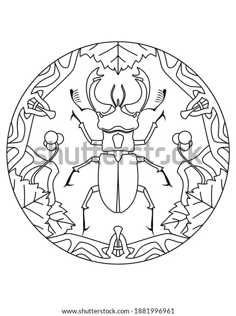 Download Pattern Stag Beetle Mandala Illustration Beetle Stock Vector Royalty Free 1881996961