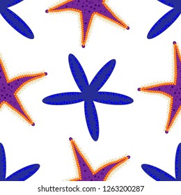 Pattern of starfish on an isolated background