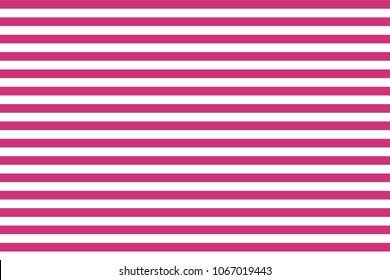 Pattern stripe seamless pink yarrow and white colors. Horizontal pattern stripe abstract background vector.