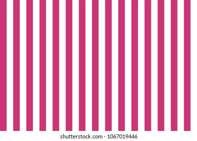 Pattern stripe seamless pink yarrow and white colors. Vertical pattern stripe abstract background vector.