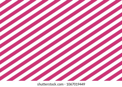Pattern stripe seamless pink yarrow and white colors. Diagonal pattern stripe abstract background vector.